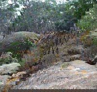 Dergholm State Park - Accommodation Daintree