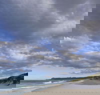Friendly Beaches - Accommodation Daintree