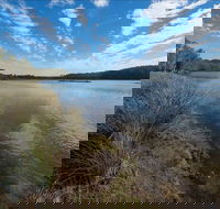 Lake Innes Nature Reserve - Accommodation Daintree