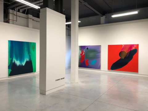 May Space - Accommodation Daintree 0