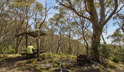 Mount Barrington Picnic Area - Accommodation Daintree 0