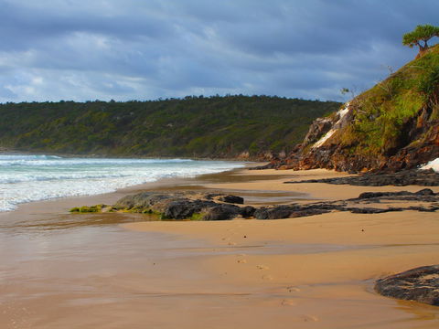 One Man Bluff - Accommodation Daintree 1