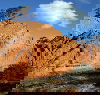 Red Banks Conservation Park - Accommodation Daintree