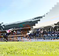 Rosehill Gardens Racecourse - Accommodation Daintree