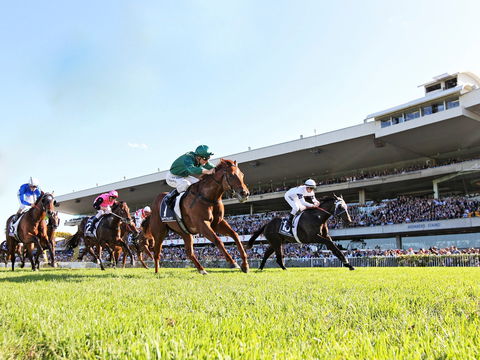 Rosehill Gardens Racecourse - Accommodation Daintree 0