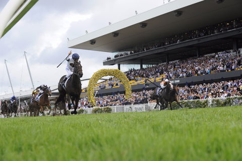 Rosehill Gardens Racecourse - Accommodation Daintree 1