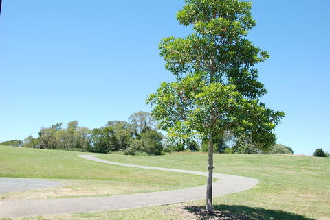 Samford Valley Rail Trail - Accommodation Daintree 2