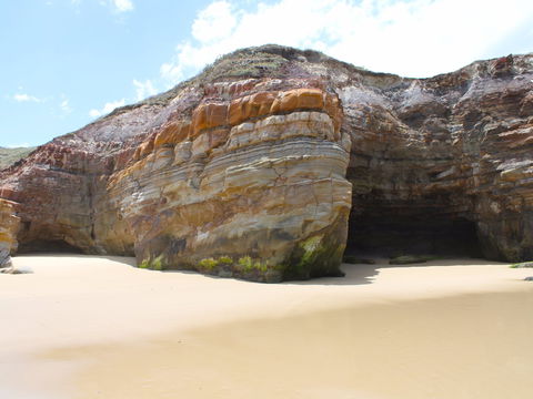 Shelley Caves - Accommodation Daintree 0