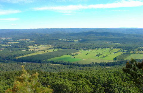 Sherwood Nature Reserve - Accommodation Daintree 0