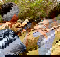 Taranna - Accommodation Daintree