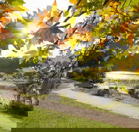 Wentworth Falls Lake - Accommodation Daintree