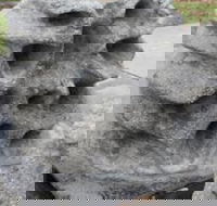 Windara Reef - Accommodation Daintree