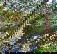 Woko National Park - Accommodation Daintree