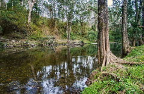 Woko National Park - Accommodation Daintree 0
