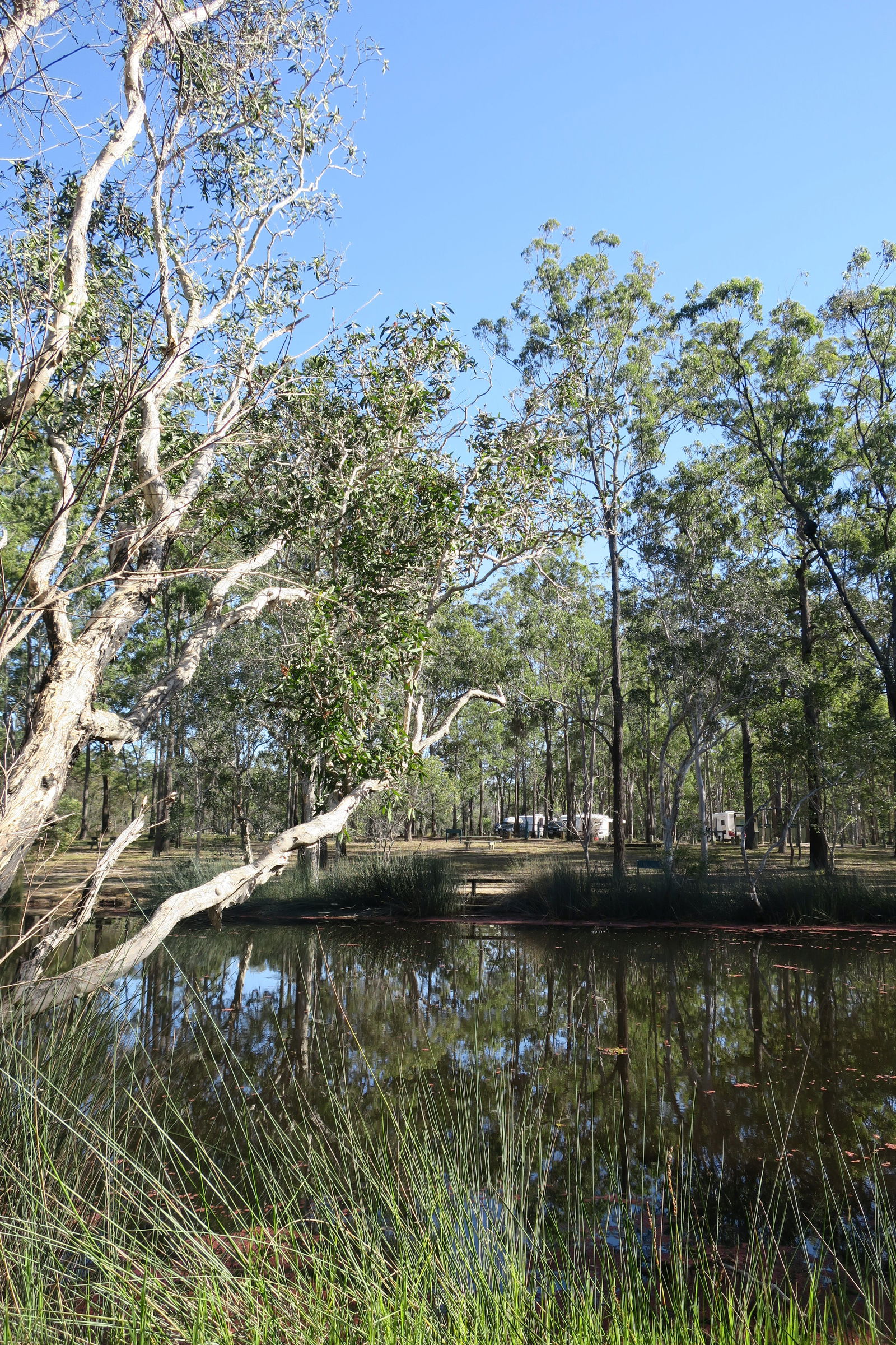 Duckinwilla QLD Accommodation Daintree