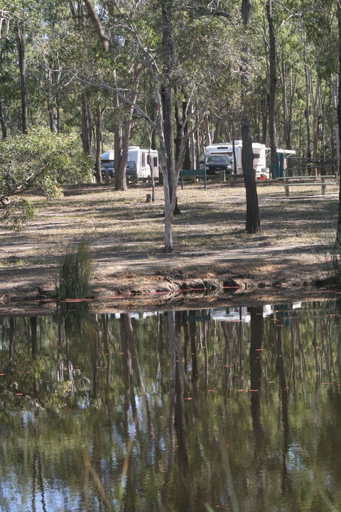 Wongi State Forest - Accommodation Daintree 1
