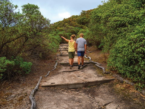Woody Island Nature Reserve - Accommodation Daintree 2