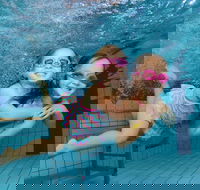 Blacktown Aquatic Centre - Accommodation Daintree