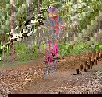 Bom Bom State Forest Mountain Bike Trails - Accommodation Daintree