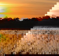 Bool Lagoon Game Reserve and Hacks Lagoon Conservation Park - Accommodation Daintree