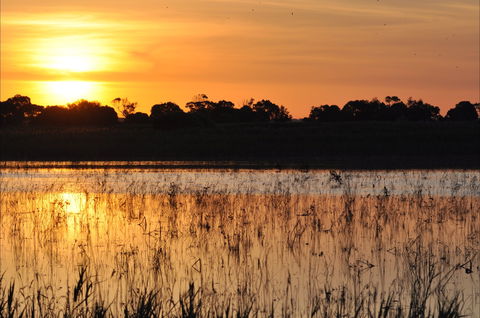 Bool Lagoon Game Reserve And Hacks Lagoon Conservation Park - Accommodation Daintree 0