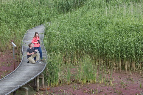 Bool Lagoon Game Reserve And Hacks Lagoon Conservation Park - Accommodation Daintree 2