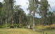 Chaelundi National Park - thumb 0