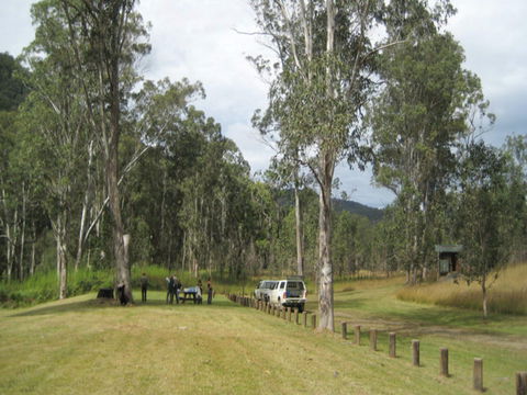 Chaelundi National Park - Accommodation Daintree 0