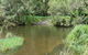 Chaelundi National Park - thumb 2