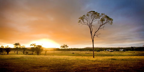 Cooyar - Accommodation Daintree 0