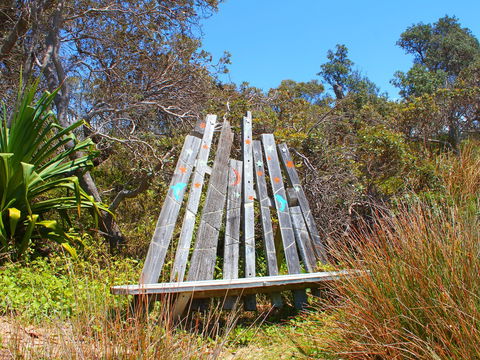 Diggers Headland - Accommodation Daintree 1
