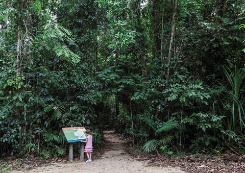Djiru National Park - Accommodation Daintree 2