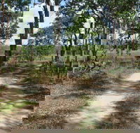 Djukbinj National Park - Accommodation Daintree