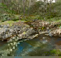 Gorge Walking Track - Accommodation Daintree