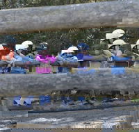 Harlow Park Horse Riding - Accommodation Daintree
