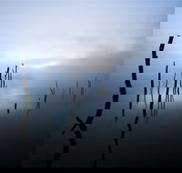 Jounama Creek Walking Track - Accommodation Daintree