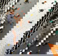 Latitude Melbourne - Accommodation Daintree