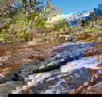 Little Dandahra Creek Walking Track - Accommodation Daintree