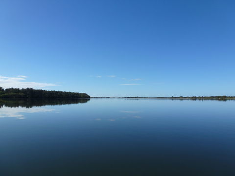 Manning River - Accommodation Daintree 0