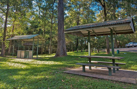 Minyon Grass Picnic Area - Accommodation Daintree 0