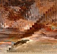 Mole Creek - Accommodation Daintree