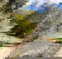 Naracoorte North Nature Park - Accommodation Daintree