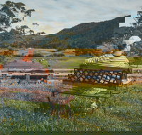 North - North East - Accommodation Daintree