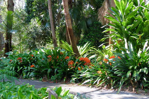 North Coast Regional Botanic Garden - Accommodation Daintree 1