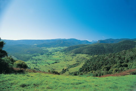 Numinbah Section, Springbrook National Park - Accommodation Daintree 0