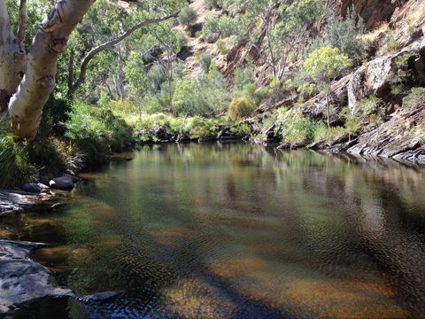 Onkaparinga River National Park - Accommodation Daintree 2