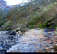 Pierces Pass - Accommodation Daintree