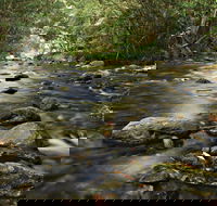 Plateau Circuit Loop Trail - Accommodation Daintree