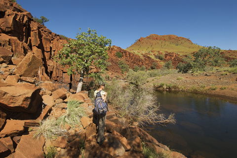 Rail Access Roads - Pilbara - Accommodation Daintree 1