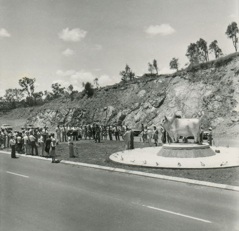 Rockhampton Bull Statues - Accommodation Daintree 0